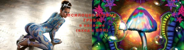 мет Алексин