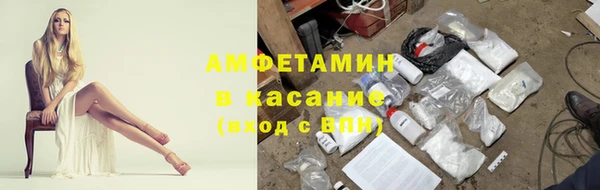 сатива Алексеевка