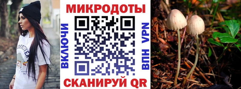 omg tor  Полевской  Галлюциногенные грибы мицелий 